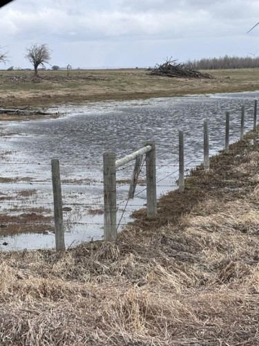 On Twp Rd 322, Consort, AB 