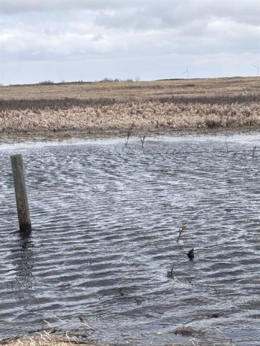 On Twp Rd 322, Consort, AB 
