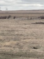 on Hwy 886 Consort, AB T0C 1B0