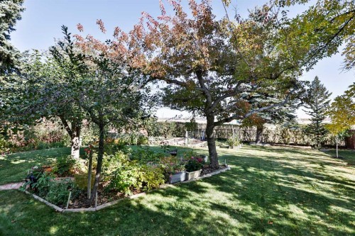 86 Chippewa Crescent West, Lethbridge, AB - Outdoor