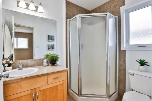 404 Lynx Crescent North, Lethbridge, AB - Indoor Photo Showing Bathroom