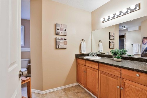 404 Lynx Crescent North, Lethbridge, AB - Indoor Photo Showing Bathroom