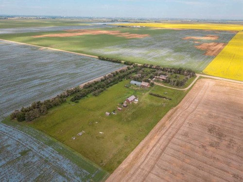 202001 8-0 Township, Rural Lethbridge County, AB 