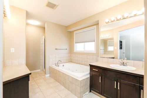 132 Firelight Way West, Lethbridge, AB - Indoor Photo Showing Bathroom