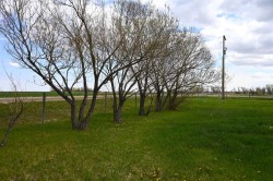 131 North 2nd Street EASTHill Spring, AB T0K 1E0