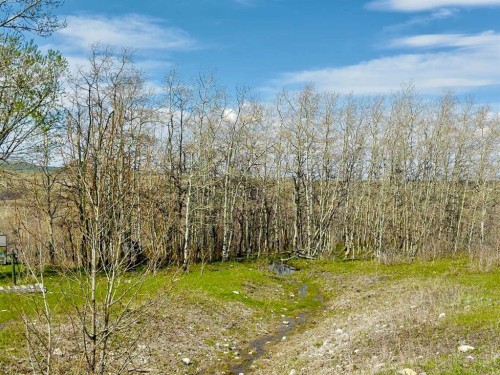 2127 Twp Rd 7-3A, Lundbreck, AB - Outdoor With View