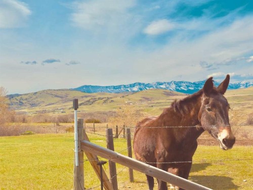 2127 Twp Rd 7-3A, Lundbreck, AB - Outdoor With View