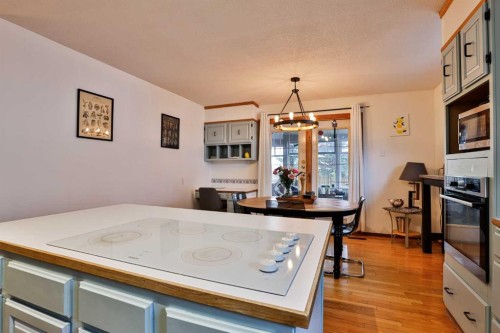 203 Ryerson Road West, Lethbridge, AB - Indoor Photo Showing Kitchen