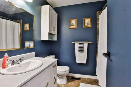 203 Ryerson Road West, Lethbridge, AB - Indoor Photo Showing Bathroom