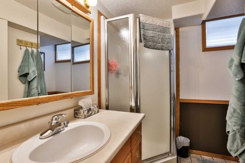 203 Ryerson Road West, Lethbridge, AB - Indoor Photo Showing Bathroom