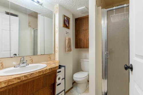 57 Honeysuckle Road North, Lethbridge, AB - Indoor Photo Showing Bathroom