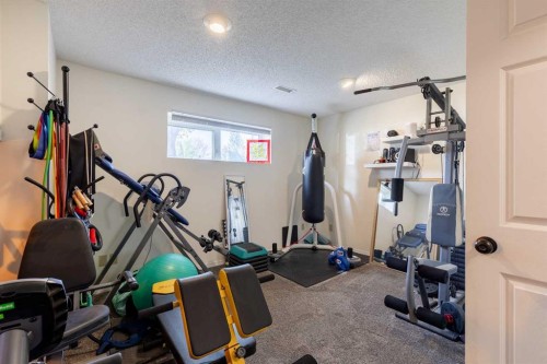 57 Honeysuckle Road North, Lethbridge, AB - Indoor Photo Showing Gym Room