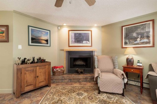 41 Simon Fraser Boulevard West, Lethbridge, AB - Indoor Photo Showing Living Room With Fireplace