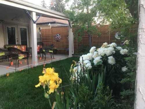 41 Simon Fraser Boulevard West, Lethbridge, AB - Outdoor
