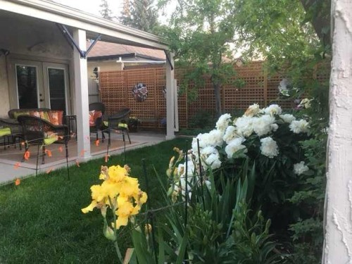 41 Simon Fraser Boulevard West, Lethbridge, AB - Outdoor