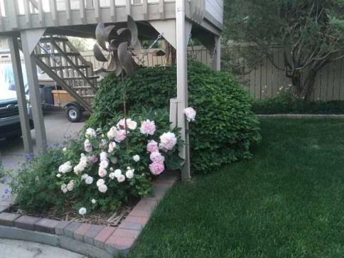 41 Simon Fraser Boulevard West, Lethbridge, AB - Outdoor