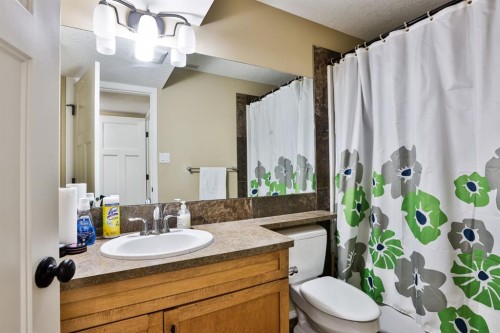 557 Mary Cameron Crescent North, Lethbridge, AB - Indoor Photo Showing Bathroom