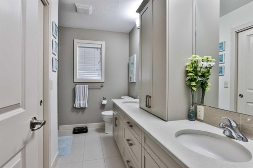 223 Couleesprings Terrace South, Lethbridge, AB - Indoor Photo Showing Bathroom