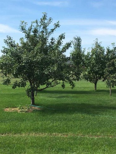 95070 Range Road 18-3, Rural Taber, M.D. Of, AB - Outdoor