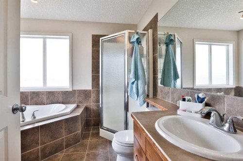 14 Thyrza Burkitt Place North, Lethbridge, AB - Indoor Photo Showing Bathroom