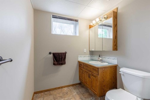194043 Twp 120, Rural Lethbridge County, AB - Indoor Photo Showing Bathroom