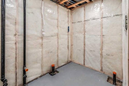 95 Blackwolf Pass North, Lethbridge, AB - Indoor Photo Showing Basement