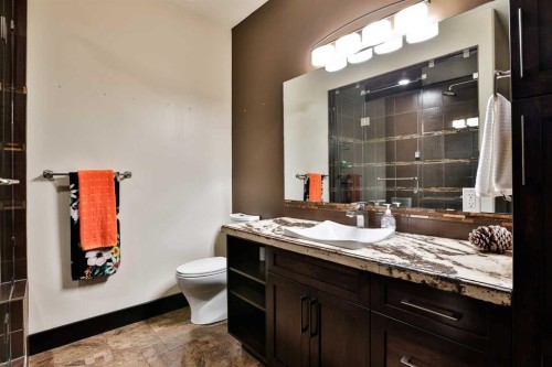 312 Sandstone Point South, Lethbridge, AB - Indoor Photo Showing Bathroom