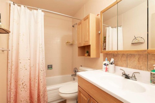 52 Trent Road West, Lethbridge, AB - Indoor Photo Showing Bathroom