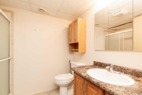 52 Trent Road West, Lethbridge, AB - Indoor Photo Showing Bathroom