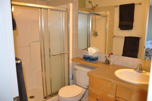 47 Riverbrook Close West, Lethbridge, AB - Indoor Photo Showing Bathroom