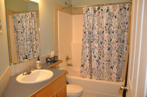 47 Riverbrook Close West, Lethbridge, AB - Indoor Photo Showing Bathroom