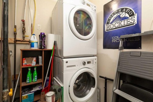 247 Blackwolf Way North, Lethbridge, AB - Indoor Photo Showing Laundry Room