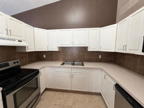 296 Cougar Way North, Lethbridge, AB - Indoor Photo Showing Kitchen With Double Sink