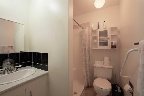 5 4 Street, Champion, AB - Indoor Photo Showing Bathroom