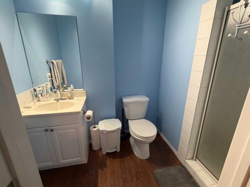 5214 45 Avenue, Taber, AB - Indoor Photo Showing Bathroom