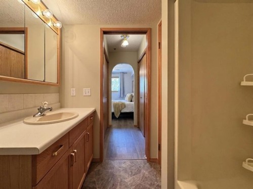 208-75 1 Avenue South, Lethbridge, AB - Indoor Photo Showing Bathroom