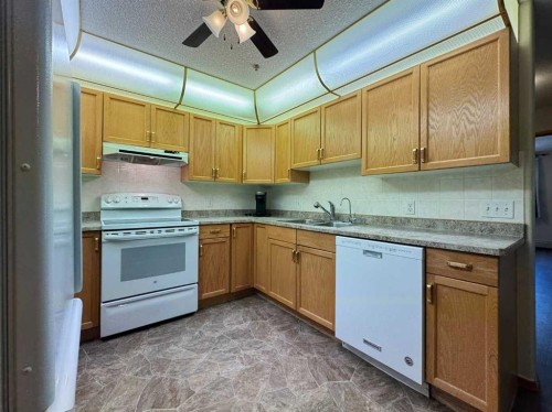 208-75 1 Avenue South, Lethbridge, AB - Indoor Photo Showing Kitchen With Double Sink