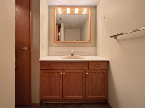 208-75 1 Avenue South, Lethbridge, AB - Indoor Photo Showing Bathroom