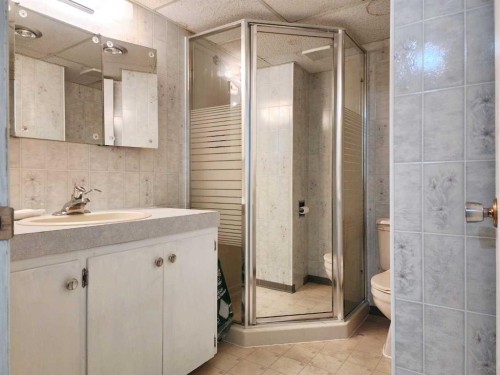 1405 13 Avenue North, Lethbridge, AB - Indoor Photo Showing Bathroom