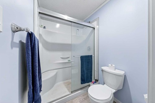 12145 21Ave, Blairmore, AB - Indoor Photo Showing Bathroom