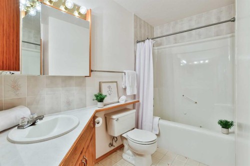 11 Cougar Road North, Lethbridge, AB - Indoor Photo Showing Bathroom