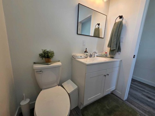 718 3 Avenue North, Vauxhall, AB - Indoor Photo Showing Bathroom