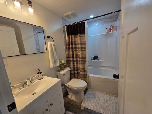 718 3 Avenue North, Vauxhall, AB - Indoor Photo Showing Bathroom