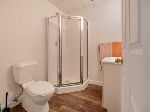6005 46A Street, Taber, AB - Indoor Photo Showing Bathroom