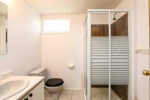 729 Columbia Boulevard West, Lethbridge, AB - Indoor Photo Showing Bathroom