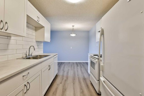 308-85 Foxbend Crescent North, Lethbridge, AB - Indoor Photo Showing Kitchen With Double Sink