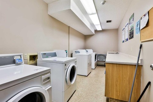 308-85 Foxbend Crescent North, Lethbridge, AB - Indoor Photo Showing Laundry Room