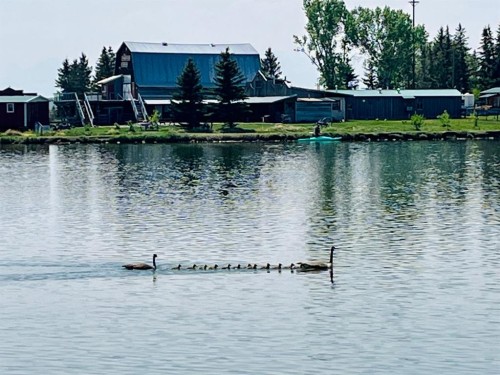 45056 Range Road 275, Hill Spring, AB 