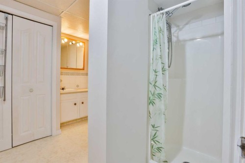 96 Oxford Road West, Lethbridge, AB - Indoor Photo Showing Bathroom