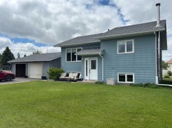 316 1 Street EASTBarnwell, AB T0K 0B0
